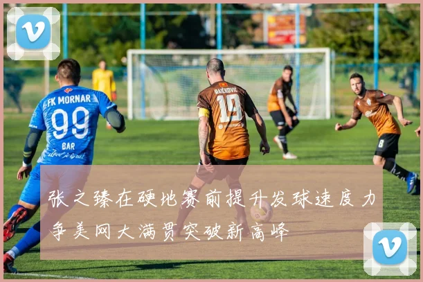 张之臻在硬地赛前提升发球速度力争美网大满贯突破新高峰